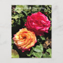 Zoek naar internationaal briefkaarten Bloemen