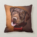 Zoek naar labrador retriever kussens Retrievers