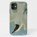 Zoek naar audubon iphone hoesjes John james audubon