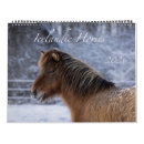 Zoek naar ijslandse paarden geschenken Pony