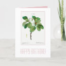 Zoek naar redoute bloemen kaarten Redouté
