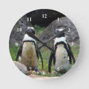 Zoek naar penguin klokken Paar