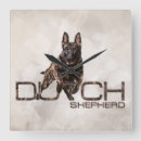 Zoek naar holland klokken Hollandse herder