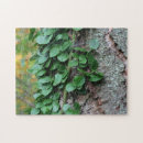 Zoek naar boom schors puzzels Natuur