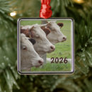 Zoek naar koeien ornamenten Boerderijdieren