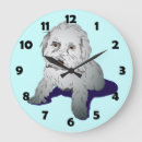 Zoek naar maltipoo kunst Huisdier