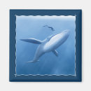 Zoek naar duikers magneten Elk persoon