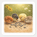 Zoek naar baby kuikens stickers Boerderij