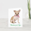 Zoek naar chihuahua puppy kaarten Liefde