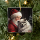 Zoek naar keeshond ornamenten Kerstmis