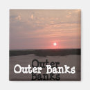 Zoek naar kakkerlak magneten Natuur