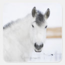 Zoek naar paard portret stickers Natuur