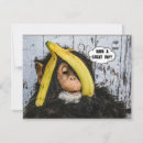 Zoek naar banaan aap kaarten Humor
