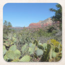 Zoek naar cactussen onderzetters Natuur