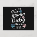 Zoek naar schattig katje briefkaarten Katten