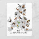 Zoek naar dieren briefkaarten Wild