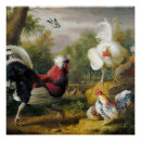 Zoek naar rode haan posters Voor iedereen