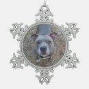 Zoek naar pitbull ornamenten Dieren