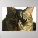 Zoek naar stileren posters Stileer