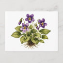 Zoek naar vintage botanisch briefkaarten Elk persoon