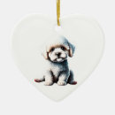 Zoek naar bichon frise ornamenten Puppy