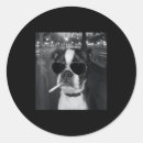 Zoek naar sigaret stickers Gen z