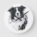 Zoek naar border collie klokken Herdershond