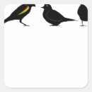 Zoek naar vogeltjes stickers Voor iedereen
