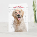 Zoek naar kus verjaardagskaarten Liefde