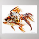 Zoek naar fantail goudvis posters Zeedieren