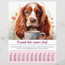 Zoek naar engelen flyers Vlieger