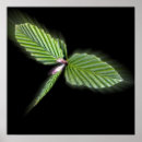 Zoek naar bladeren posters Leaf