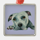 Zoek naar bull terrier ornamenten Hond