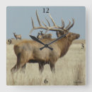 Zoek naar eland kunst Wapiti