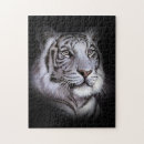 Zoek naar witte tijger puzzels Oerwoud