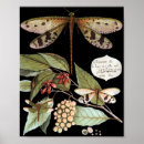 Zoek naar libellen posters Vruchten