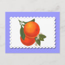 Zoek naar sinaasappel briefkaarten Elk persoon