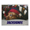 Zoek naar dachshund kalenders Schattig