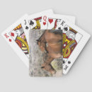 Zoek naar mustang speelkaarten Ruitersport