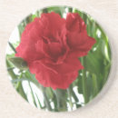 Zoek naar anjers onderzetters Floreel