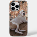 Zoek naar pitbulls iphone hoesjes Hond