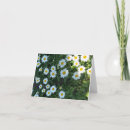 Zoek naar struiken kaarten Voor haar