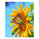 Zoek naar zonnebloem vlinder kunst Insect