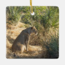 Zoek naar botswana ornamenten Wild