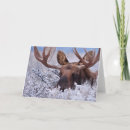 Zoek naar ijs kaarten Sneeuw