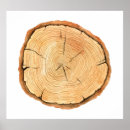 Zoek naar boom ringen posters Plak