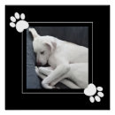 Zoek naar zwart wit foto posters Minimalistisch