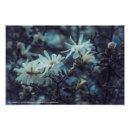 Zoek naar magnolia foto posters Voor iedereen