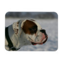 Zoek naar profiel kaarten Sneeuw