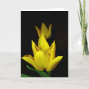 Zoek naar denk kaarten Tulpen